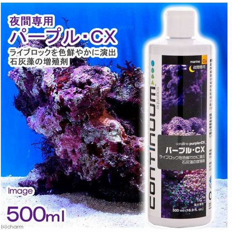 パープル ｃｘ ５００ｍｌ 海水用 ライブロック 石灰藻増殖剤 通販 Lineポイント最大0 5 Get Lineショッピング