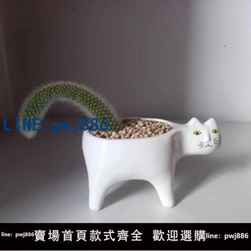 【臺灣公司】猴尾柱仙人柱猴尾巴九尾狐盆栽貓咪花盆室內桌面綠植卡通貓植物