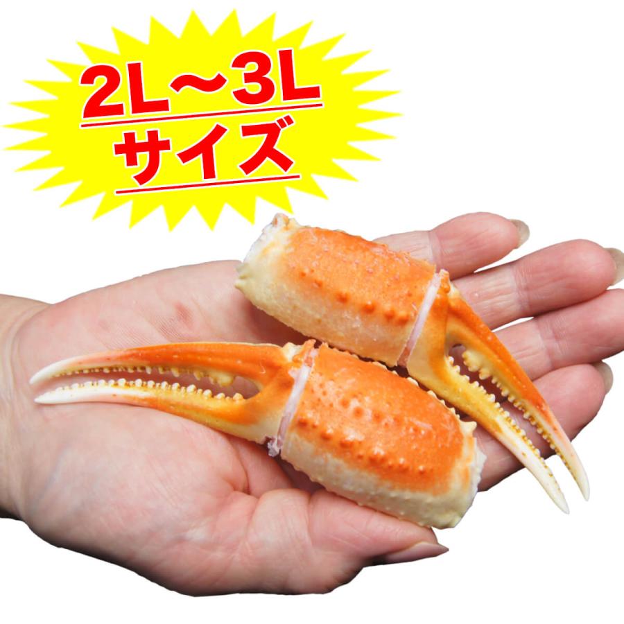 かに カニ ズワイガニ かに爪 総重量1kg 2L〜3Lサイズ 約26〜35個入り カニツメ  送料無料 リングカット プレゼント ギフト 贈答 ring-s