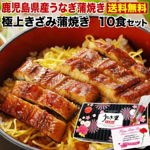 ポイント5％ 母の日  プレゼント グルメ ギフト うなぎ 蒲焼き 国産 鹿児島産 送料無料 きざみ蒲焼き10食セット うなぎの里 クール