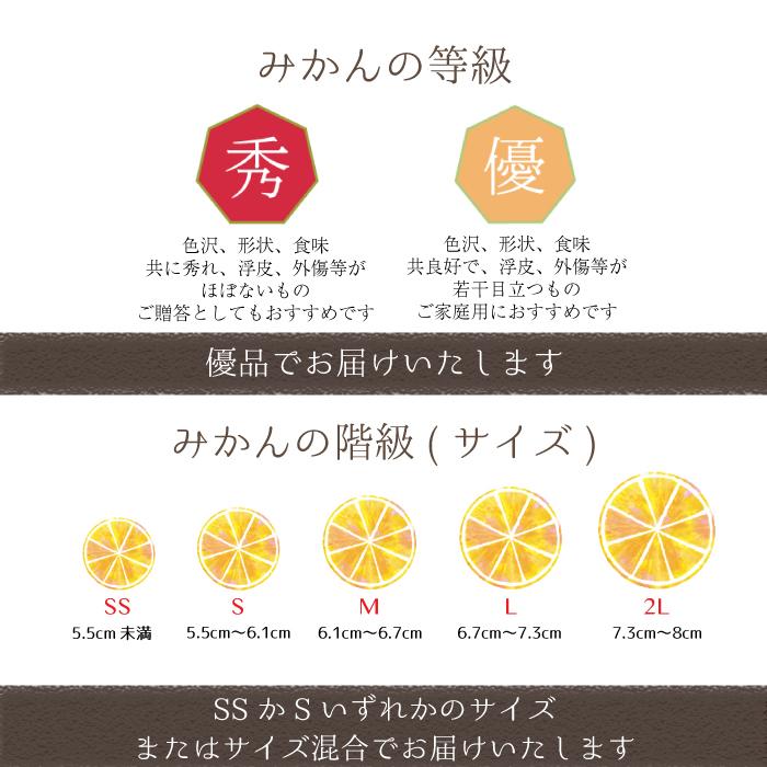 小玉みかん  送料無料 濃厚な甘みがギュッと詰まったみかん 小玉 小粒 SS S みかん 薄皮 家庭用 温州 和歌山 甘い 紀の