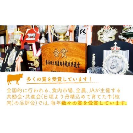 ふるさと納税  佐賀牛 ロース すき焼き 600g [NAB067] 佐賀牛 牛肉 肉 佐賀  黒毛和牛 佐賀牛A4 佐賀牛a4 牛肉A4 牛.. 佐賀県嬉野市