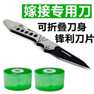 可折疊 嫁接刀 嫁接果樹接芽刀 特種鋼 接木專用刀 削木嫁接工具 嫁接膜 5E8H