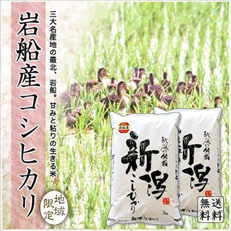 新米 新潟県産 岩船産コシヒカリ 白米 10kg (5kg×2 袋) 令和5年産