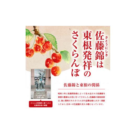 ふるさと納税 山形県 東根市 GI「東根さくらんぼ」 2024年産 佐藤錦500g化粧箱詰め JA産直提供