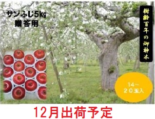 12月発送 贈答用 百年木の香 サンふじ約5kg 有機肥料100％