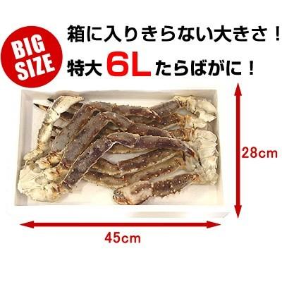 かに カニ 蟹 生 たらばがに タラバ たらば タラバガニ 肩脚 2kg ギフト