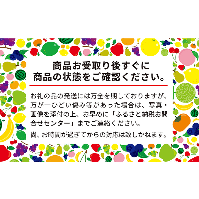 先行受付 2024年7月から順次出荷 北海道 仁木町産 「匠」 ジャンボサイズ さくらんぼ 300g×2  嶋田茂農園