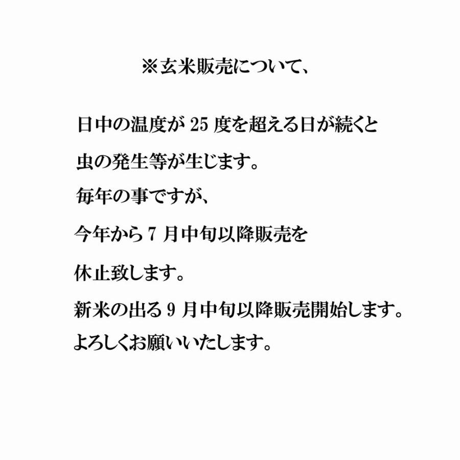 きぬむすめ 20kg 〔むろ米穀〕