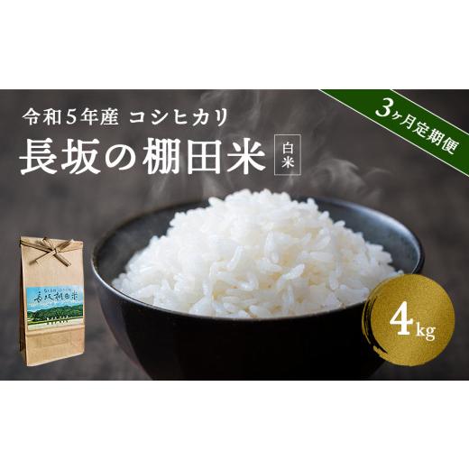 ふるさと納税 富山県 氷見市 〈3ヶ月定期便〉令和5年産 富山県産 コシヒカリ 長坂の棚田米 4kg 富山県 氷見市 こしひかり 棚田