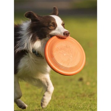 飛盤狗專用飛盤耐咬軟飛碟大中小型邊牧金毛拉布拉多訓犬寵物玩具