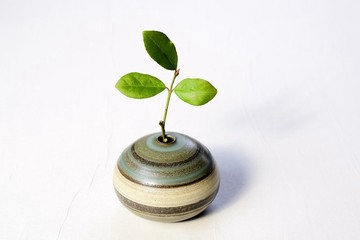 獨一無二的一輪插花瓶 iIw-030
