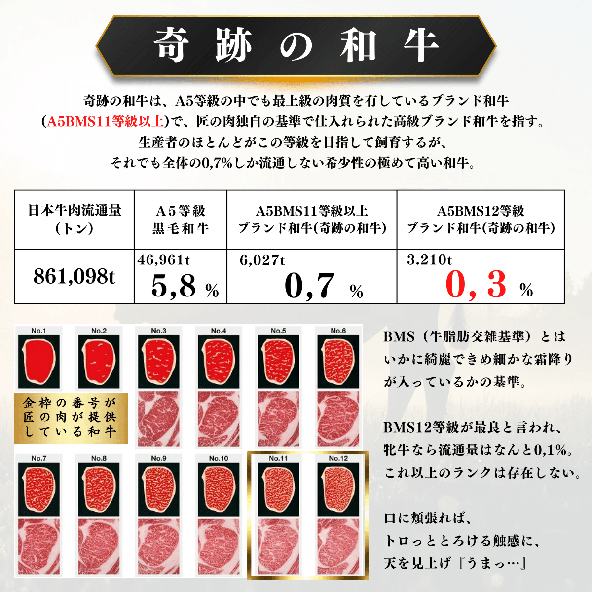 御中元 お中元 ギフト 2023 肉 A5BMS12等級ブランド和牛希少部位赤身焼肉セット400g 贈り物 プレゼント 高級牛肉