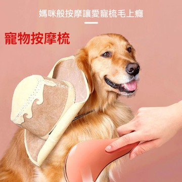 🌈愛寵✨寵物梳毛 防打結氣囊梳 貓咪按摩梳 防靜電便攜順發梳 狗狗梳子