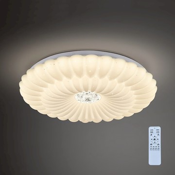 60W 遙控吸頂燈 L01-2121G