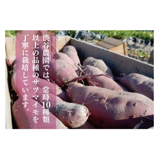 ふるさと納税 茨城県 行方市 BZ-28 20kg箱入りサツマイモ（ひめあやか）