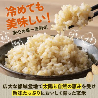 ふるさと納税 都城市 創業160年伝統の味!都城産ヒノヒカリ 玄米10kg