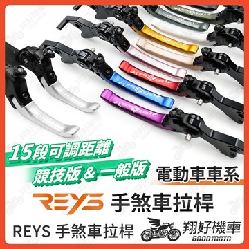 【翔好機車】REYS拉桿 GOGORO PULSE Ai 1 EC05 UR1 VIVA MIX GOGORO2 拉桿