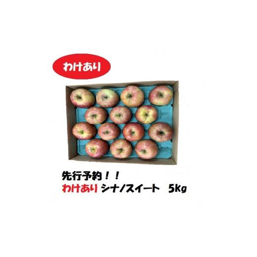 ふるさと納税 長野県 飯山市 シナノスイート　約5kg　（2024年産 予約） (H-1)