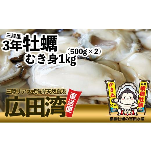 ふるさと納税 岩手県 陸前高田市 横綱牡蠣！吉田水産のむき身牡蠣１kg (500g×2パック) ※加熱用 数量限定   岩手 陸前高田市