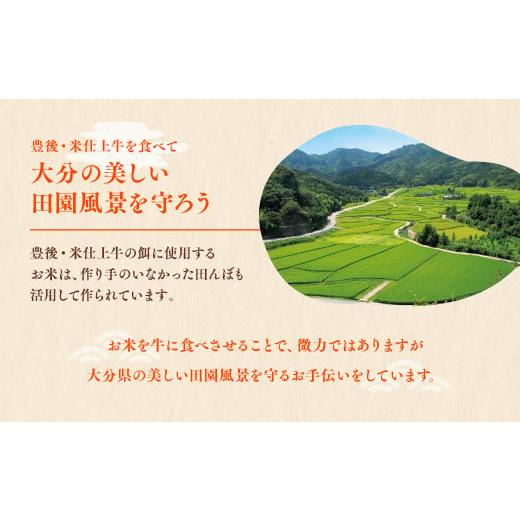 ふるさと納税 大分県 豊後高田市 豊後・米仕上牛ステーキ食べ比べ（ロース1枚、モモ3枚）計420g