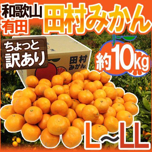 みかん 和歌山有田産 ”田村みかん” ちょっと訳あり L〜LL 約10kg 産地箱 送料無料