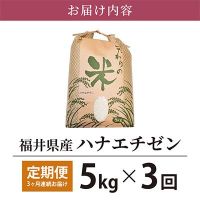 ふるさと納税 越前町 ハナエチゼン 5kg × 3回　福井県産[白米]全3回