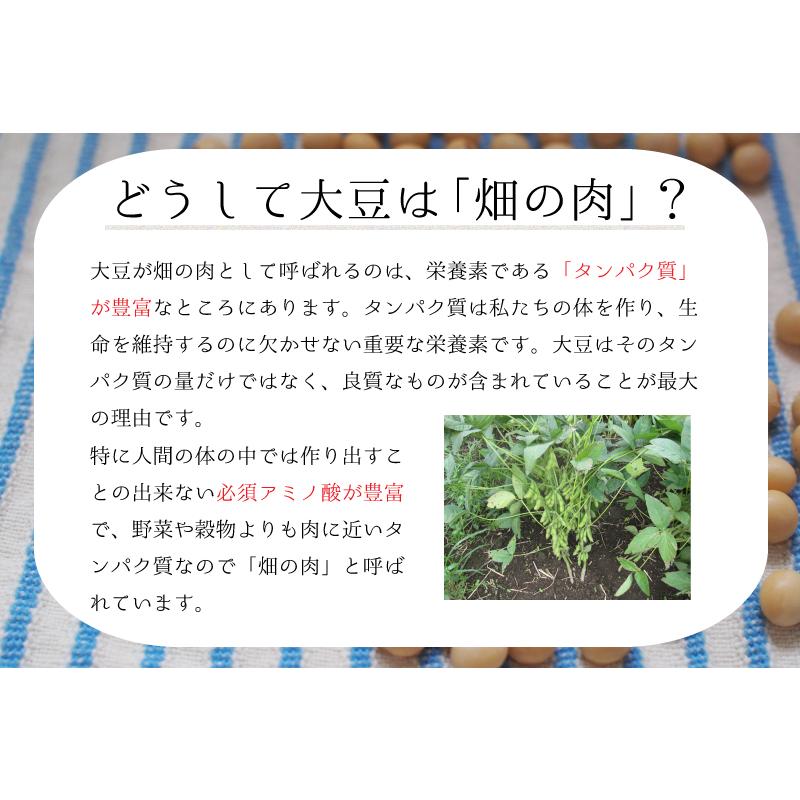 納豆用小粒大豆 10kg 国産 すずおとめ スズオトメ 熊本県産 非遺伝子組み換え