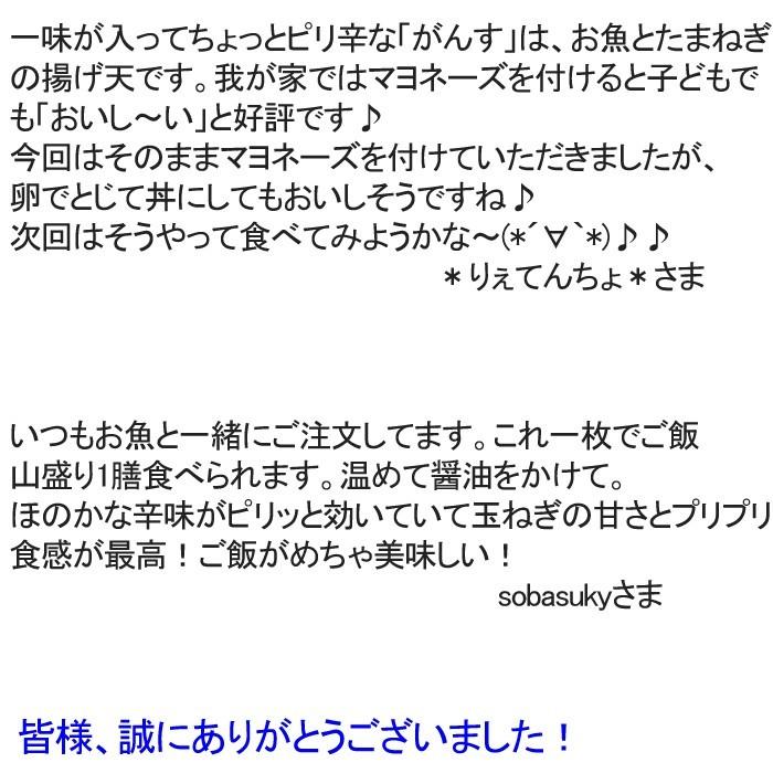 広島名物がんす２０枚セット（冷凍）