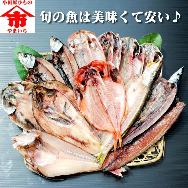 おまかせ干物セット5000円コース〜魚は山市干物専門店におまかせください!その時の最高の魚を干物にてお送りします。