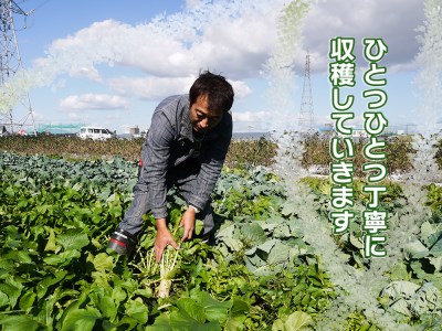 CC001_かずちゃんの朝採り新鮮野菜セット