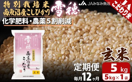 特別栽培米南魚沼産こしひかり「雪穂」玄米（5kg×全12回）