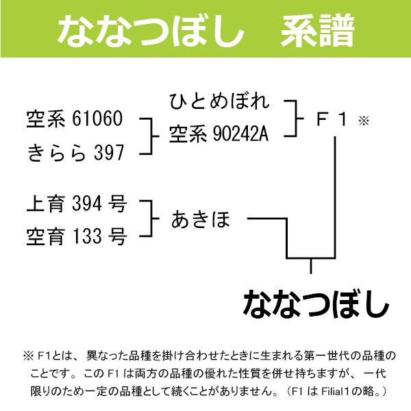 北海道産 ななつぼし 極 令和5年産 30kg（5ｋｇ×6） 送料無料 白米 特Ａ産地限定 米 30kg お米 30kg 米30kg 送料無 真空パック対応