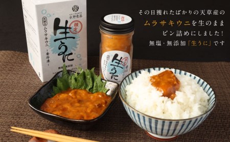 殻だし！生うに 120g(60g×2本)『熊本県天草産ムラサキウニ』無塩 無添加 ウニ 雲丹