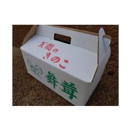 ふるさと納税 BP-4  隔月飯村きのこ園の笠間まいたけ(1kg以上) 茨城県笠間市