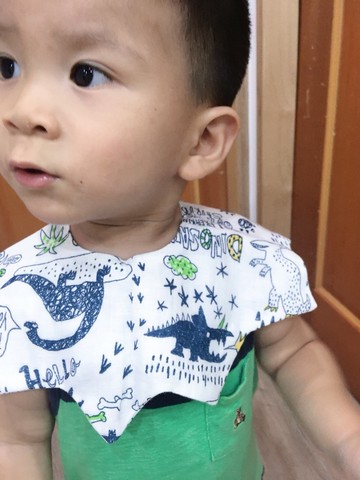 大星星六重紗口水巾-GO!GO!サウルス 手繪恐龍 新生兒