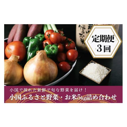 ふるさと納税 熊本県 小国町 阿蘇小国産・旬の野菜とお米5kgの詰め合わせ