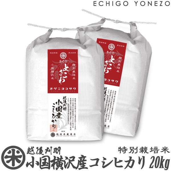 [新米 令和5年産] 小国横沢産コシヒカリ 特別栽培米 20kg (5kg×4袋) 刈羽小国 白米 新潟米 お米 新潟県産 こしひかり 送料無料 ギフト対応