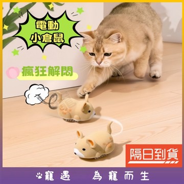 仿真電動倉鼠 電動老鼠 電動跑跑鼠 電子老鼠 倉鼠毛絨玩具 逗貓玩具 貓咪自嗨神器 貓咪玩具 自動逗貓 逗貓神器 高品質
