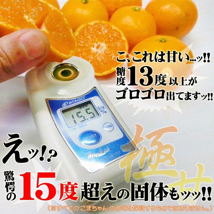 小玉みかん こまちゃん お試し用 2kg 愛媛県産 小玉 みかん 家庭用 訳あり 愛媛みかん 送料無料 プチ 小粒 2S 3S 箱買い 蜜柑 温州 早生 南柑 20号 SS 2キロ