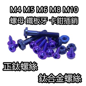 【Rising】（鈦合金螺絲）鈦螺絲 正鈦螺絲 鈦合金 飛碟頭 鐵板牙 車牌螺絲 風鏡螺絲 排氣管螺絲 車殼螺絲
