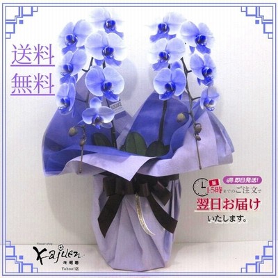 喜寿 お祝い 花の通販 2 299件の検索結果 Lineショッピング