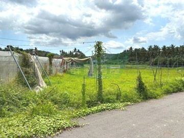 旗甲美農地｜高雄市旗山區中正段