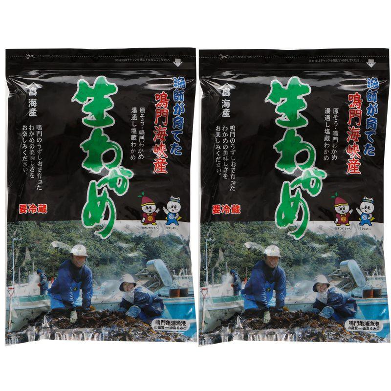 贈答用 生産者直送 国産 徳島県 鳴門海峡 塩蔵 生わかめ 箱入り 500g×2個