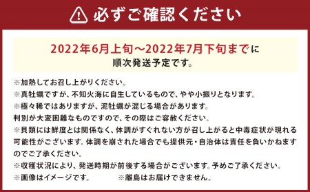 岩ガキ 合計約1.5kg（約150g×10個）加熱用 冷蔵 岩牡蠣