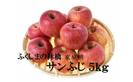 No.2065りんご　サンふじ　家庭用約5kg　林檎　リンゴ