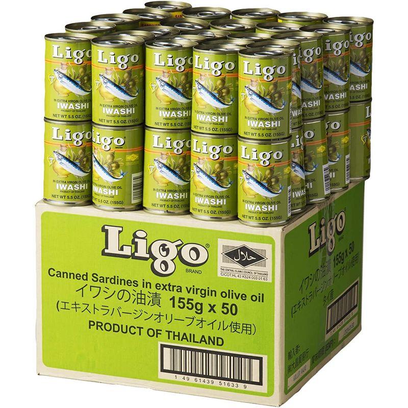 Ligo イワシのオリーブオイル煮 155g x 50缶ケース販売防災 備蓄 保存食 いわし缶