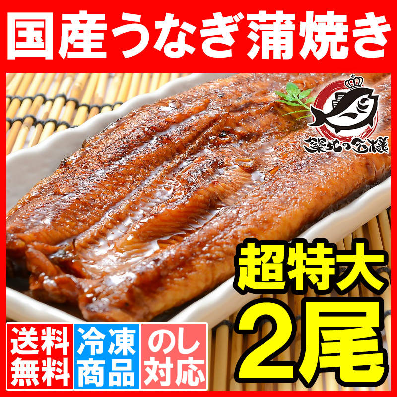 送料無料 特大うなぎ蒲焼き 平均２５０ｇ前後×２尾 （国産うなぎ ウナギ 鰻）