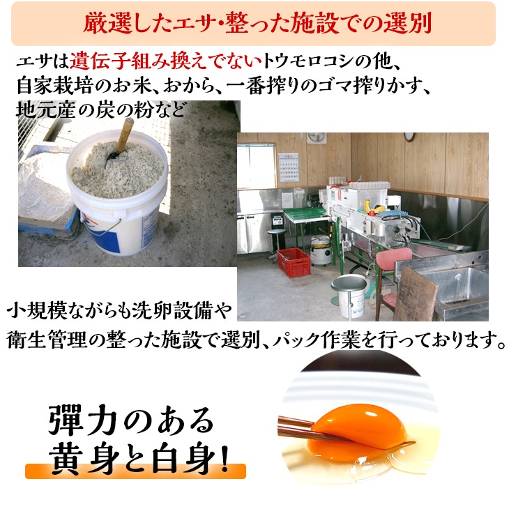 ＜アスカ有機農園＞旬の京野菜セットL（平飼い卵付）＊毎月お届け全12回