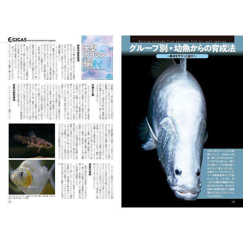 怪魚飼育マガジン GIGAS(ギガス) 2023 vol.06 雑誌